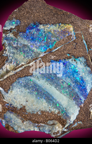 Opal Vielzahl kostbare Opal Lightning Ridge New South Wales Australia Stockfoto