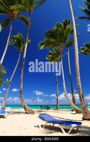 Sandstrand am Caribbean resort mit hohen Palmen Stockfoto