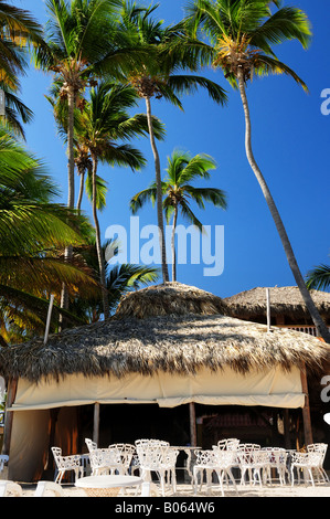Restaurant am tropischen Strand mit Palmen im freien Stockfoto