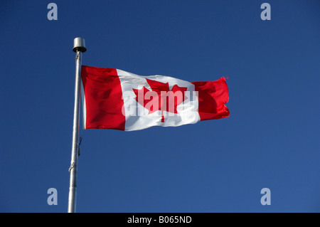 Kanada, Québec, Québec (Stadt). Kanadische Flagge. Stockfoto