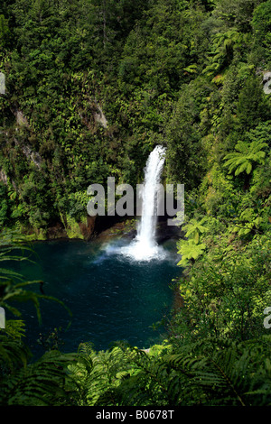 Omanawa Falls, in der Nähe von Tauranga, Western Bay Of Plenty, Nordinsel, Neuseeland Stockfoto