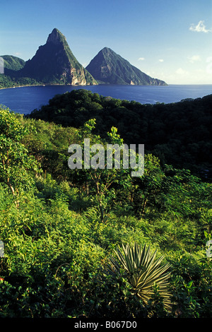 Gros Piton zusammen mit seinen Twin Peak Petit Piton St Lucia Karibik-Inseln betrachtet von Anse Chastanet Stockfoto