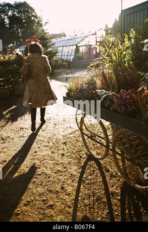 Frau Suche ein Gartencenter in Sonnenlicht getaucht Stockfoto