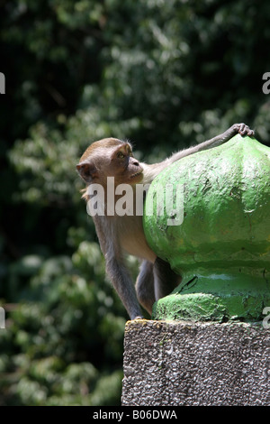 Batu Caves Heiligen Hindu Heiligtum Kuala Lumpur Stockfoto