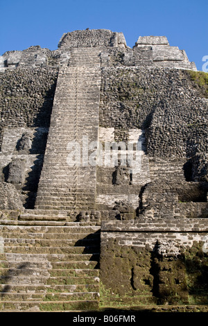 Belize, Lamanai, hoher Tempel (Struktur N10-43) der höchste Tempel in Lamanai bei 125ft Stockfoto