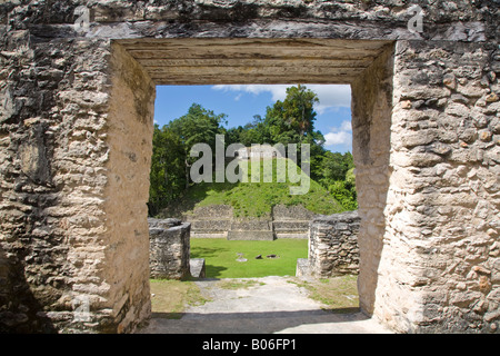 Belize, Caracol Ruinen, Plaza A, Tempel des hölzernen Lintel, eines der ältesten Gebäude im Caracol Stockfoto