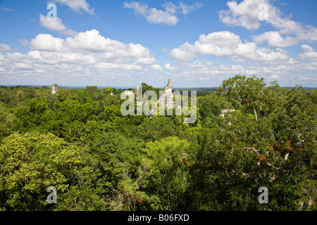 Guatemala, El Petén, Tikal, Blick vom Tempel V Stockfoto