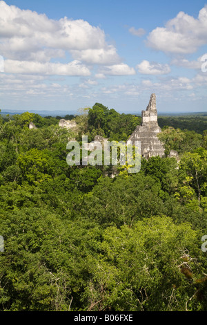 Guatemala, El Petén, Tikal, Blick vom Tempel V Stockfoto