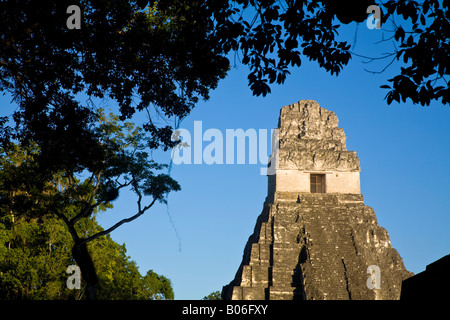 Guatemala, El Petén, Tikal, Gran Plaza Tempel 1 - Tempel des großen Jaguar Stockfoto