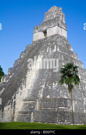 Guatemala, El Petén, Tikal, Gran Plaza Tempel 1 - Tempel des großen Jaguar Stockfoto
