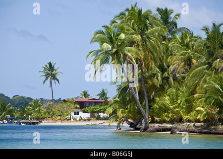 Provinz Bocas del Toro, Panama Doppelpunkt-Insel (Isla Colon) Strand Boca Del Drago Stockfoto