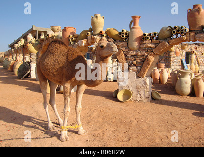 Tunesien Djerba Kallala Keramik Stockfoto