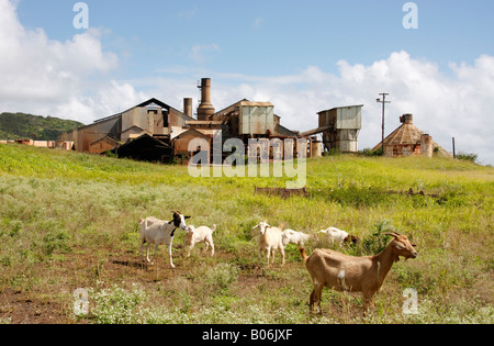 Verlassene Zuckermühle auf Kauai in Hawaii ist das Ergebnis des Zusammenbruchs des Zuckers wachsende Industrie auf der Insel Stockfoto