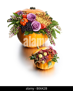 Kürbis-Blume Anordnung Halloween Geschenk Stockfoto