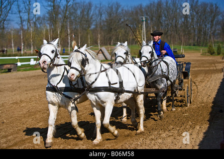 Ein Reitturnier auf den "LAZAR Equestrian Park" zeigt die Fahrkünste der ungarischen Cowboys. Stockfoto