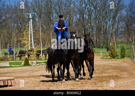 Ein Reitturnier auf den "LAZAR Equestrian Park" zeigt die Fahrkünste der ungarischen Cowboys. Stockfoto