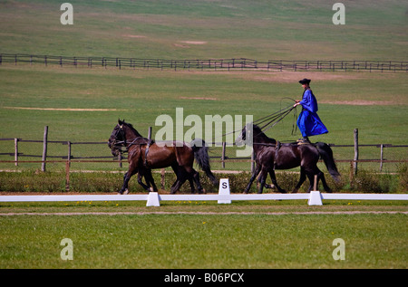 Ein Reitturnier auf den "LAZAR Equestrian Park" zeigt die Fahrkünste der ungarischen Cowboys. Stockfoto