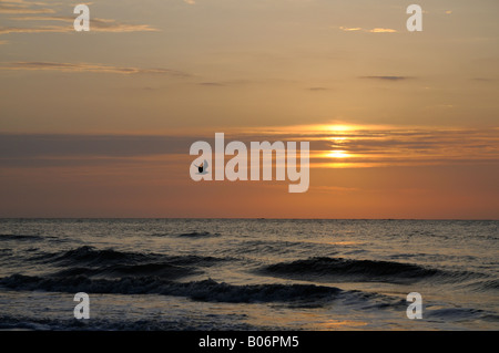 Eine Möwe fliegt vorbei an einen Sonnenaufgang am Strand in South Carolina USA Jagd Insel. Stockfoto