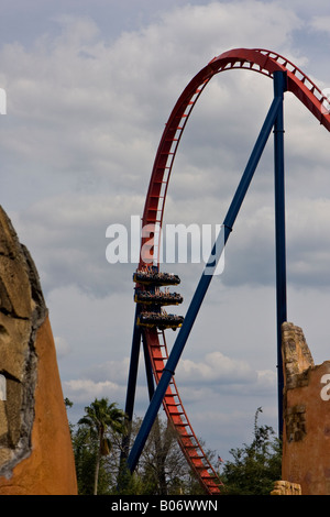 SheiKra Achterbahn Thrill Ride in Busch Gardens in Tampa Florida Fl USA U S Amerika Amerikaner Stockfoto