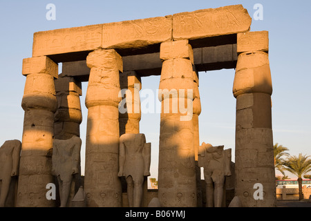 Luxor-Tempel bei Sonnenuntergang, Luxor, Ägypten, Nordafrika Stockfoto