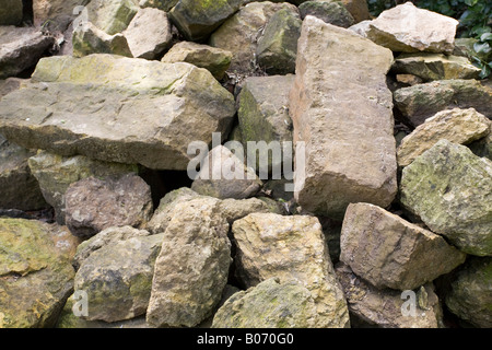 Große Felsen warten darauf, in einem Gartenrockwerk verwendet zu werden Stockfoto