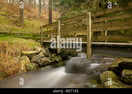 Schottland schottischen Grenzen Cardrona A öffentliche Fußgängerbrücke überqueren die Kirk in den Wald Cardrona brennen Stockfoto