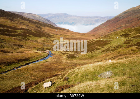 Dichten Herbstnebel verweilt in Glen Lyon in die Grampian Mountains Stockfoto