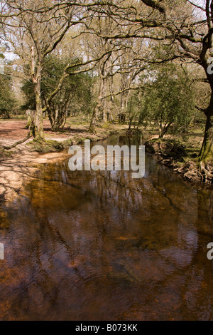 Fluss an der Ober Ecke, in der Nähe von Brockenhurst New Forest Stockfoto