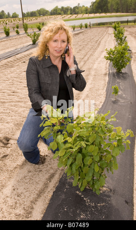 Kaukasische Frau (40-50) Inspektion Black Diamond Trüffel Baum in Pinehurst, North Carolina USA Stockfoto