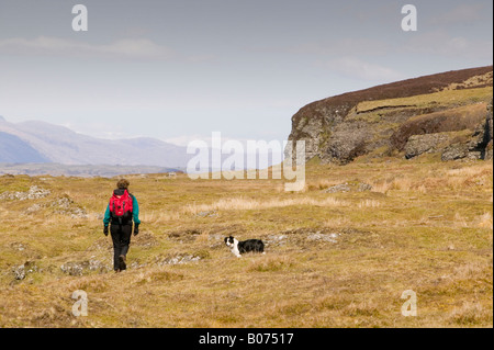 Nachweis der letzten Klima Wandel und Vergletscherung erhaben Strand Plattformen und alte erhöhten Klippen verursacht durch isostatische rebound Stockfoto