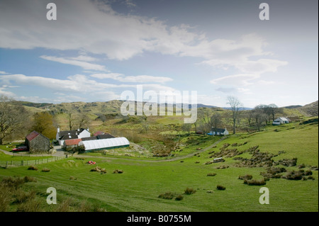 Croft auf der Insel Kerrera ab Oban Scotland UK Stockfoto