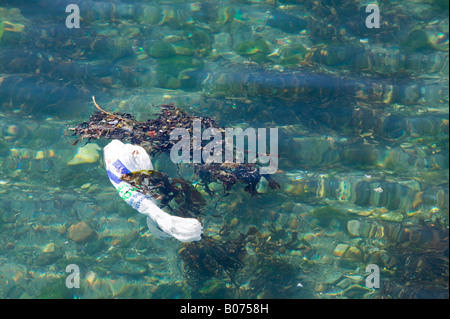 Ein Tesco Supermarkt Plastiktüte verworfen im Meer vor Oban Scotland UK Stockfoto