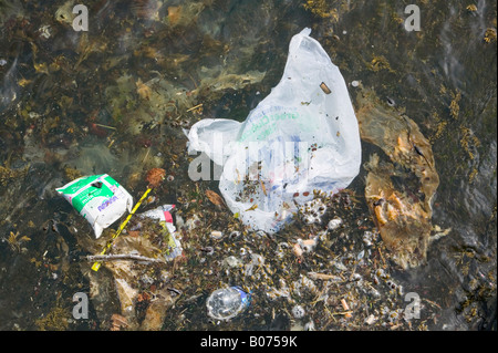 Ein Tesco Supermarkt Plastiktüte verworfen im Meer vor Oban Scotland UK Stockfoto