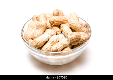 Eine Schüssel mit Monkey Nuts oder gemahlenen Nüssen isoliert auf einem weißen Studio-Hintergrund. Stockfoto