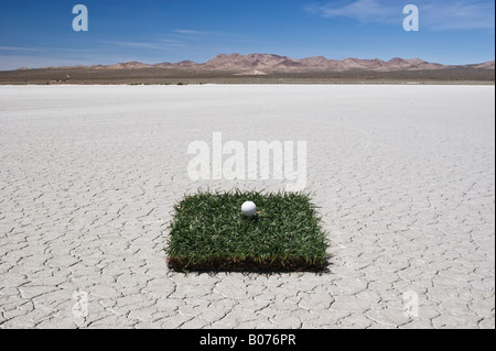 Golfball auf einem Stück Rasen in der Wüste Stockfoto