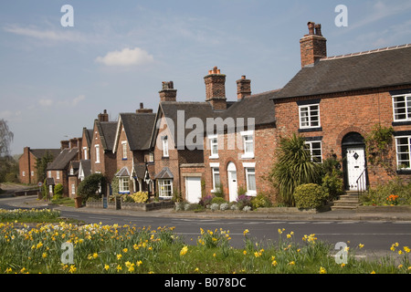 Astbury Cheshire England UK April die Narzissen bedeckt Dorf grün In diesem schönen Dorf im Herzen von Cheshire Auf dem Land Stockfoto