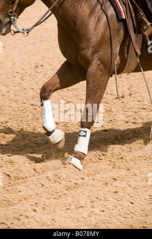 Israel Kibbutz Alonim israelischen Reitsport Organisation Westernstil Reining Wettbewerb Alter 15. April 2008 Stockfoto