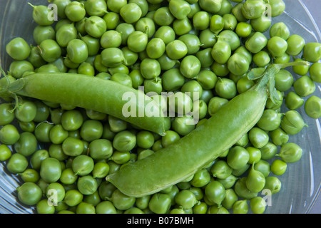 Geschälte Erbsen mit Hülsen auf Glasplatte. Stockfoto