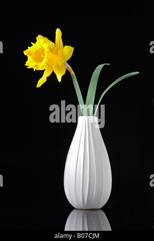 Narzisse Blumen in einer vase Stockfoto