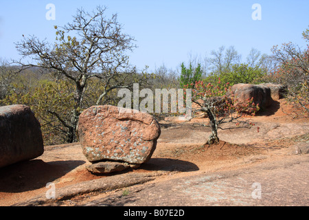 Granit Boulder, Elephant Rocks Staatspark, Graniteville, Missouri, USA Stockfoto