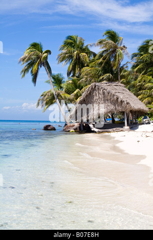 Belize, Ranguana Caye Stockfoto