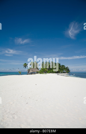 Belize, Ranguana Caye Stockfoto