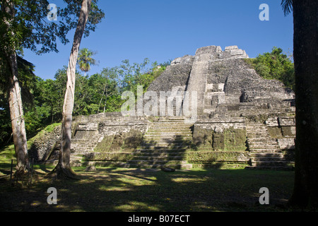 Belize, Lamanai, hoher Tempel (Struktur N10-43) der höchste Tempel in Lamanai bei 125ft Stockfoto