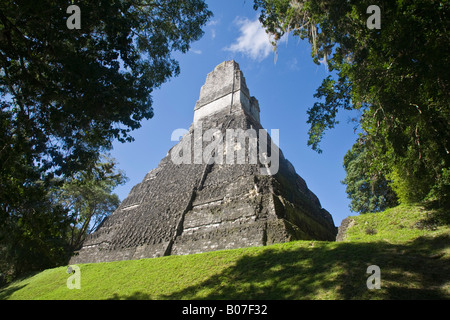 Guatemala, El Petén, Tikal, Gran Plaza, Tempel 1, Tempel des großen Jaguar oder Templo del Gran Jaguar Stockfoto