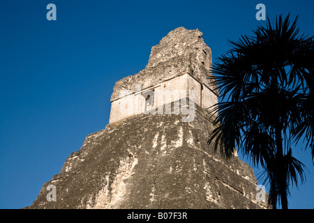 Guatemala, El Petén, Tikal, Gran Plaza, Tempel 1, Tempel des großen Jaguar oder Templo del Gran Jaguar Stockfoto