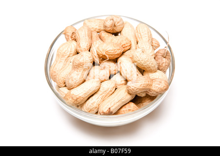 Eine Schüssel mit Monkey Nuts oder gemahlenen Nüssen isoliert auf einem weißen Studio-Hintergrund. Stockfoto