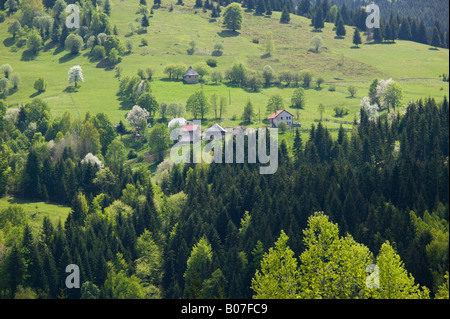 Montenegro, Kosovo Frontier Dacici Dorf Rozaje Weg Stockfoto