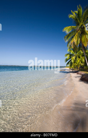 Provinz Bocas del Toro, Panama Doppelpunkt-Insel (Isla Colon) Strand Boca Del Drago Stockfoto