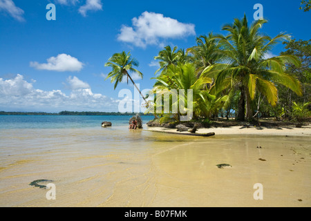 Provinz Bocas del Toro, Panama Doppelpunkt-Insel (Isla Colon) Strand Boca Del Drago Stockfoto