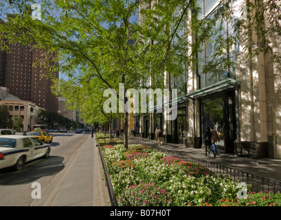 Illinois, Chicago, North Michigan Avenue (The Magnificent Mile Einkaufsstraße) Stockfoto